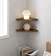 Furinno Basic Coffee Table, 2-Tier Modern Coffee Table with Open Shelf, Easy Assembly Side Table, for Living Room, Bedroom, Home Office, Amber Oak